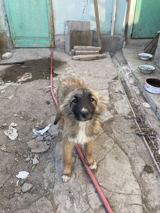 Мальчик в хорошие руки