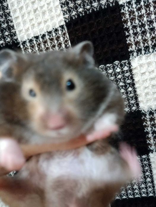 Заметки продаются.