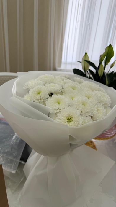 Продаю цветы свежые цены разные