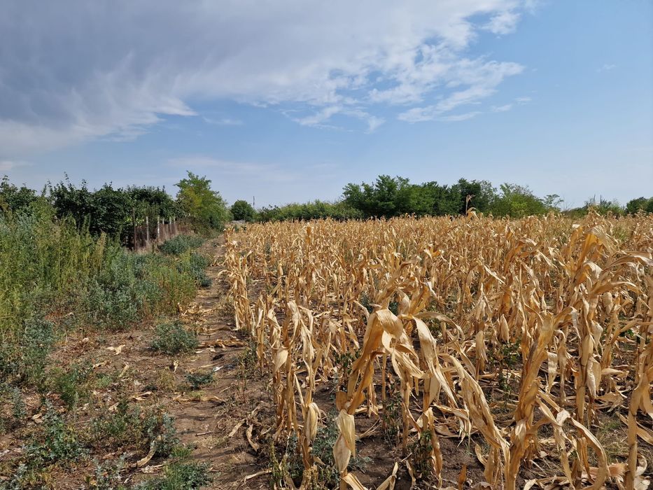 Teren intravilan Urziceni