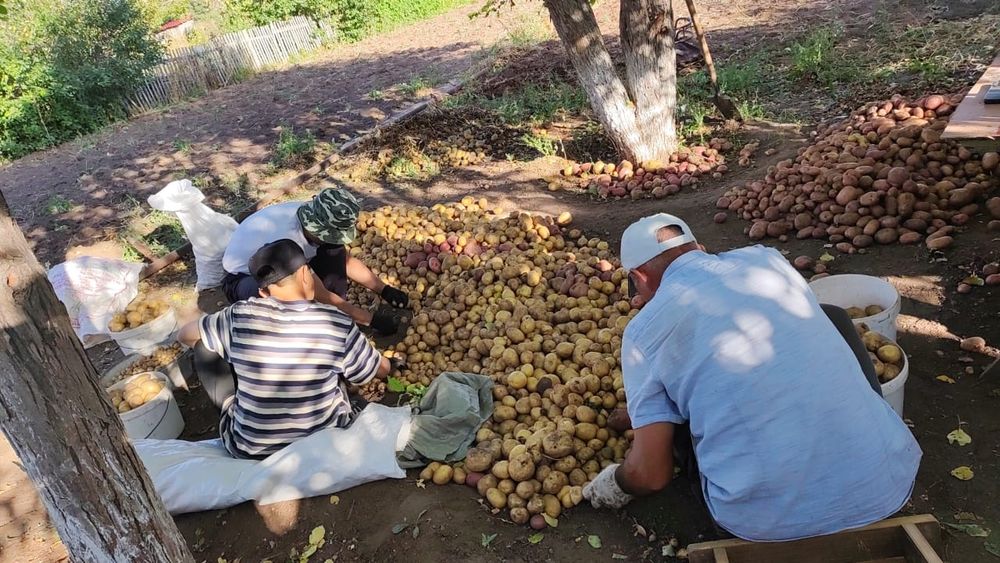 Земельный участок