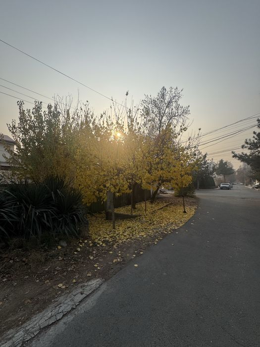 Онкоргон 6 соток фасад 17м курук Yer onqorgon