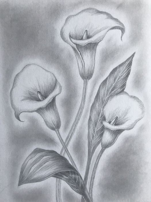 Картини,черно-бели (графитни моливи)