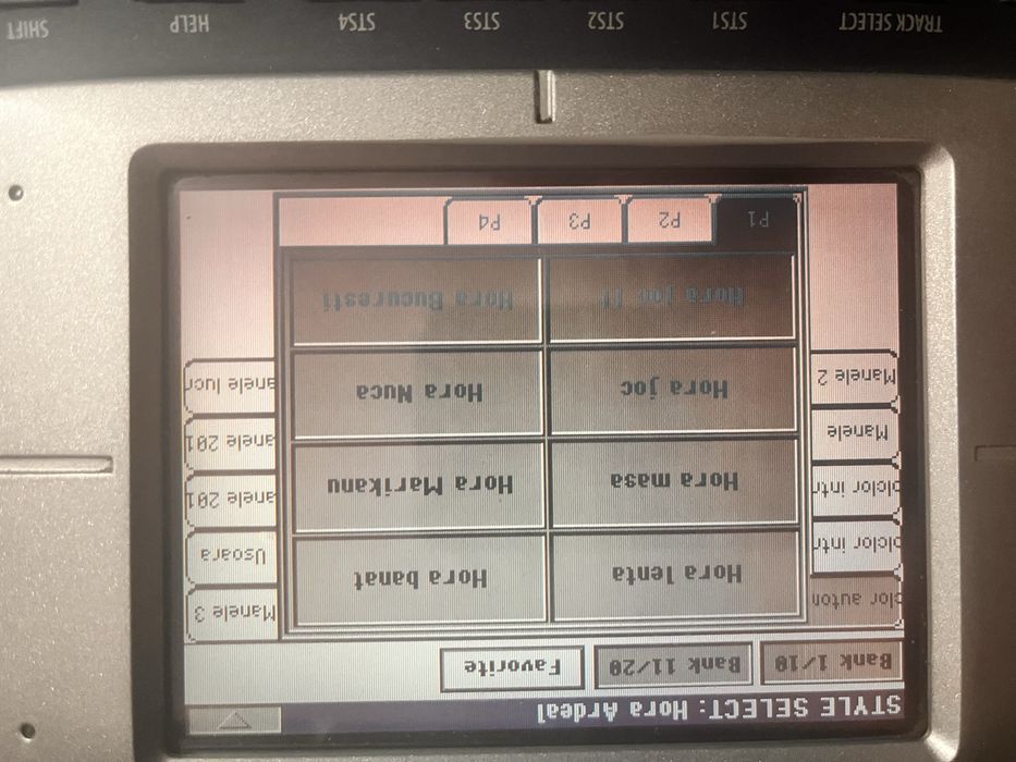 Set pentru Korg pa800.