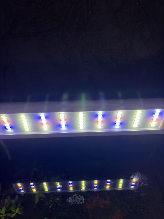 Продам аквариум 20л полный комплект