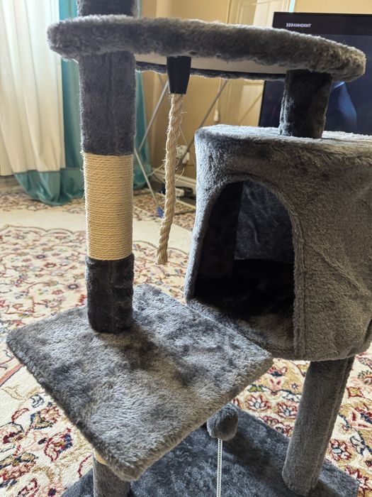 Коготочки за 18000 тенге