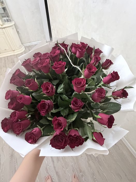 Свежие розы 51 шт