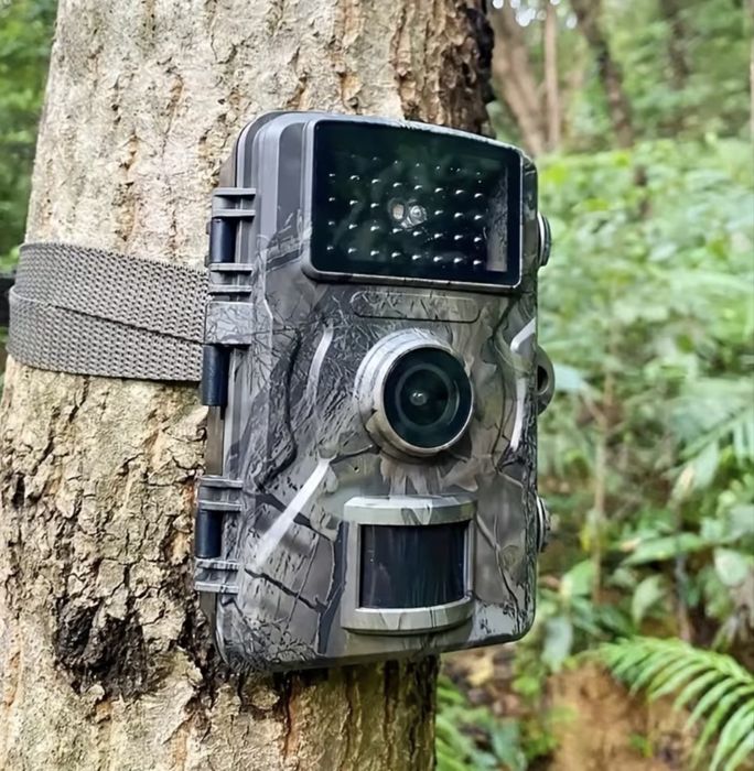 Фотокапан  Камера за лов