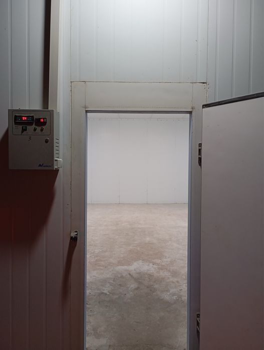 Xolodilnik Muzlatgich