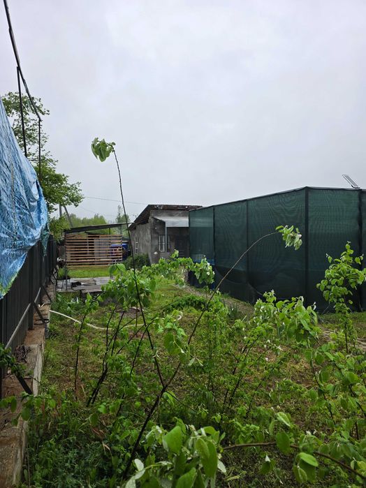 Сдается своя дача