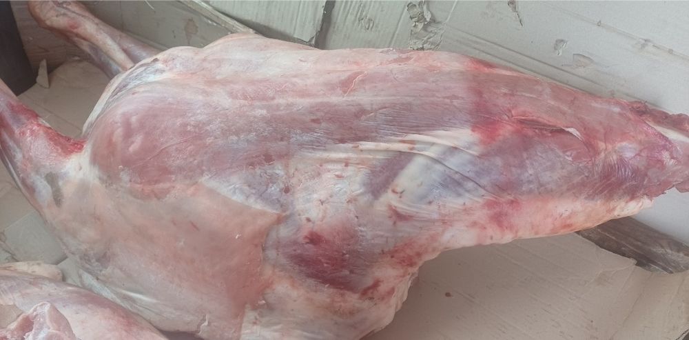 Жылқы етін сатам 2800