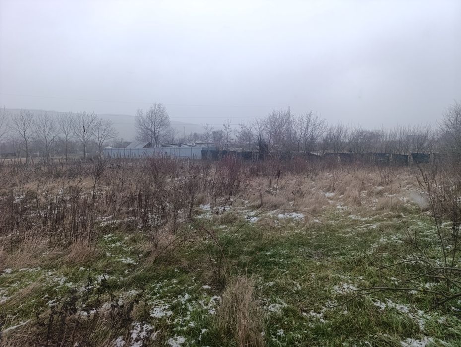 Teren  la tara 2500 m2