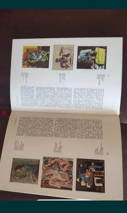 Istoria ilustrata a picturii universale