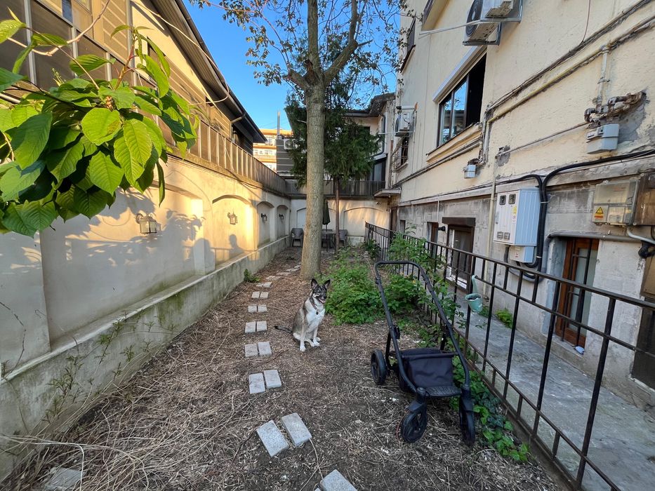 Vand apartament demisol, zona eminescu, proprietar