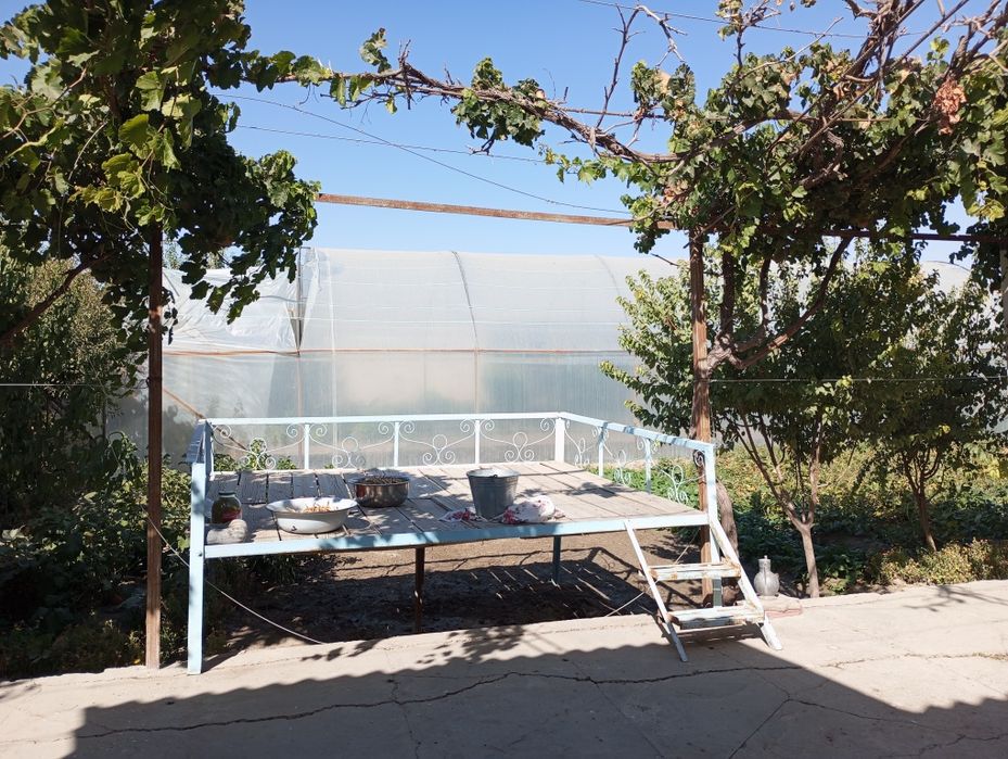 30sotixli peshkuda joylashgan hovli