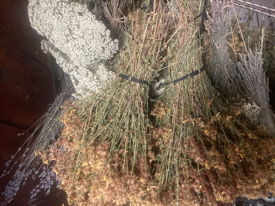 Дивата Билкова Ферма, чайове билки подправки  плодове