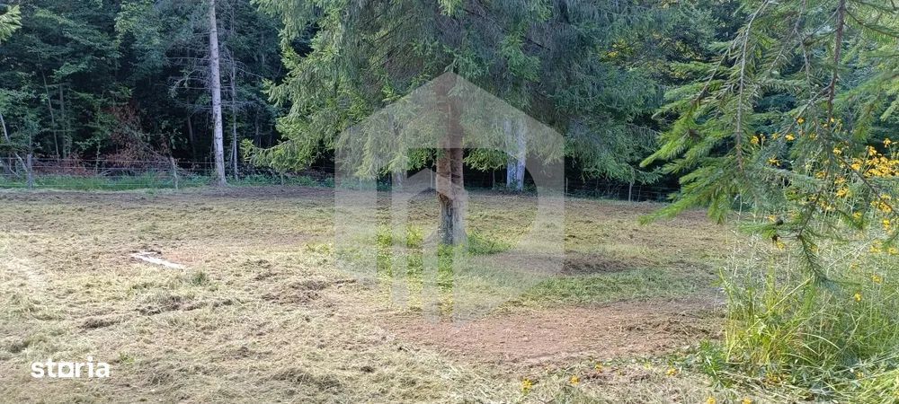 Teren Valea Avrigului- 1000 mp- Intravilan+ Certificat de urbanism