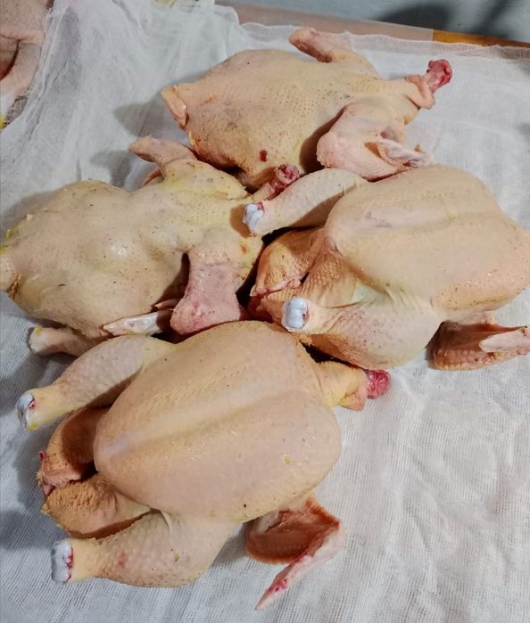 Цыплята бройлер суточные фабричные