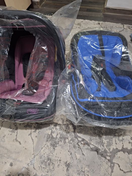 Scoică bebeluși de vinzare