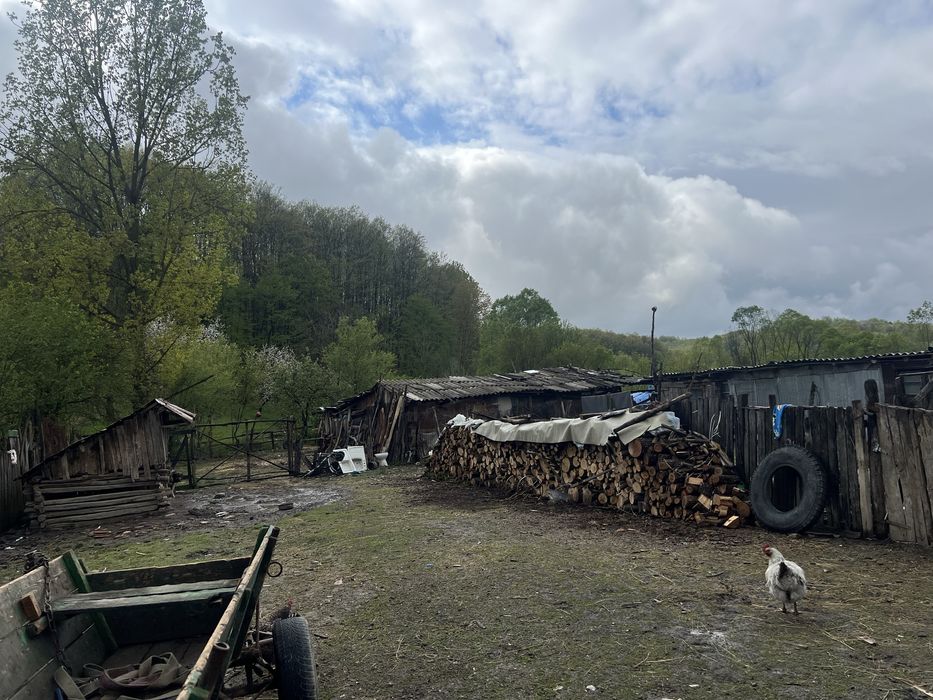 Vând casă nr 0764706871