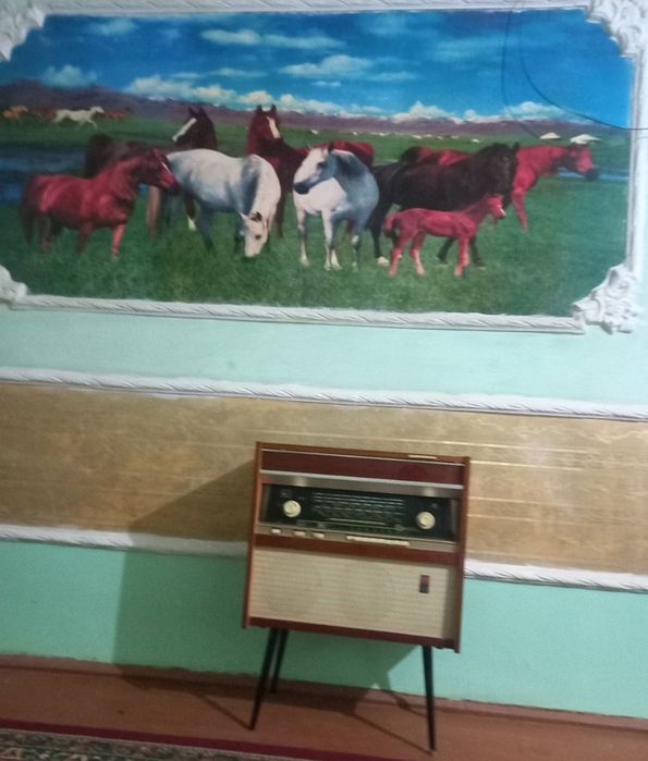 Радиола RIGONDA пластинка