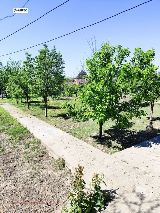 Продава се Парцел в с. Жернов, Област Плевен - 1230 кв.м за 13 €/кв.м - Снимка #6