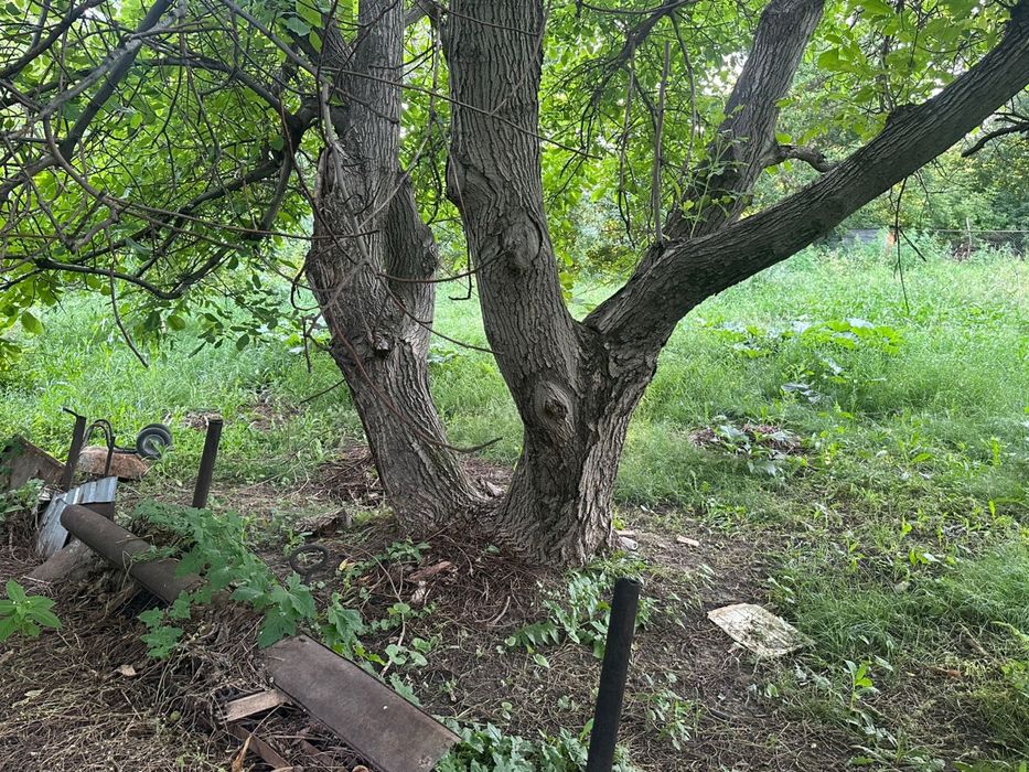 Отдельно стоящий дом