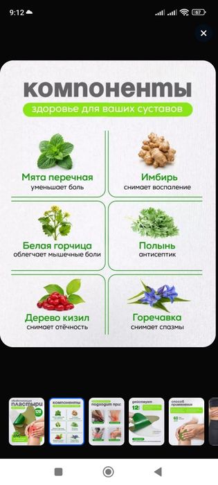 Травяной пластырь из полыни