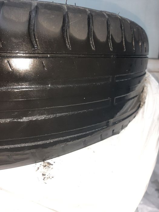 Камрики Р16 лето