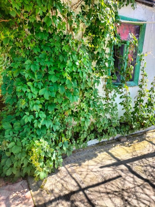 Продам дачу на Беловке