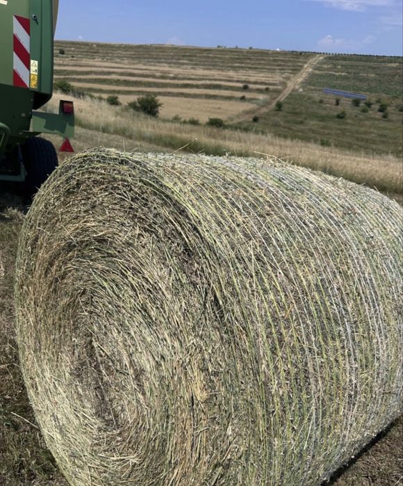 Baloti lucerna 120/120