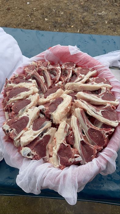 Qõy Qõchqor Кой Кочкор Qurbonlikka