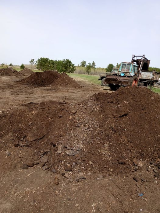 Перегной коровий