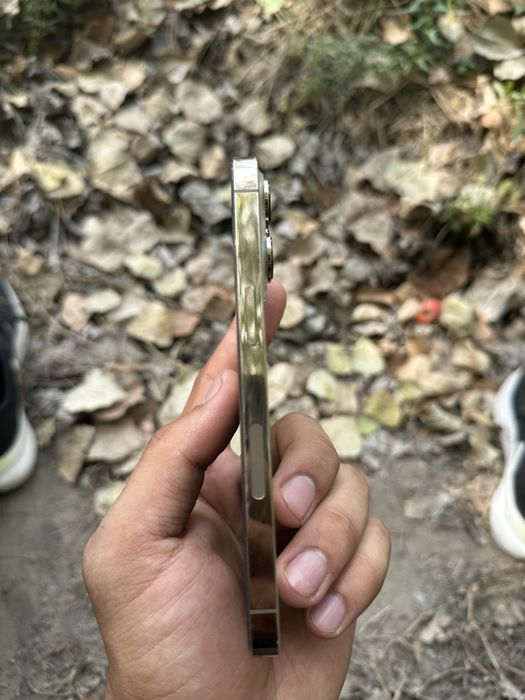 Iphone 13 pro ideal