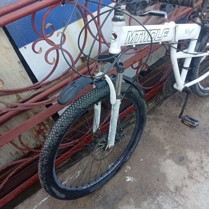 Velik sotiladi tezda