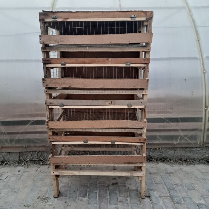 Клетки для перепелов