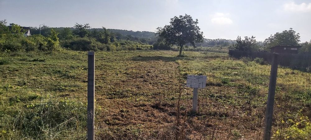 Teren intravilan Carcea Pelendava