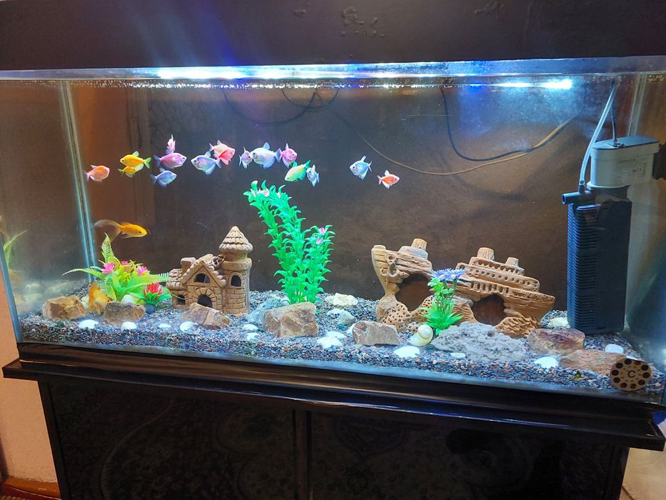 Akvarium hamma narsalari bilan sotiladi