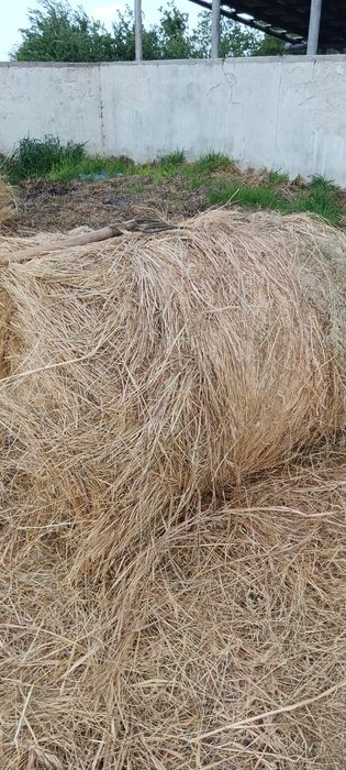 Бали сено 30% люцерна