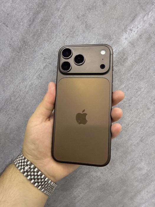 17 Pro Max 256 Brown