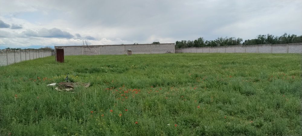 Продам коммерческие помещение 50 соток