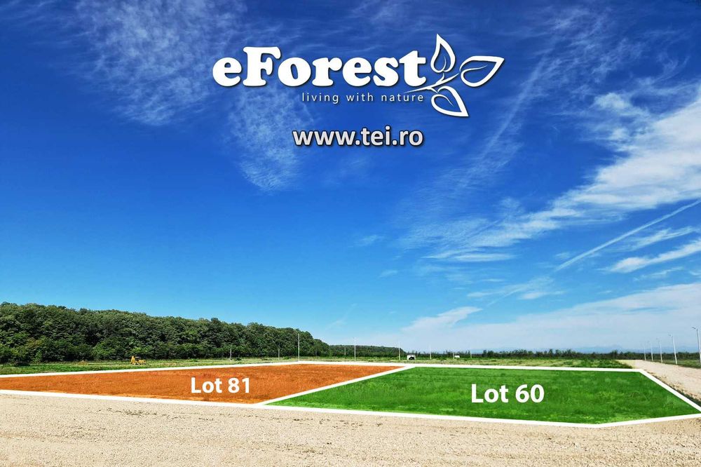 Loturi de teren în eForest, după Buftea, cu acces direct la DN1A