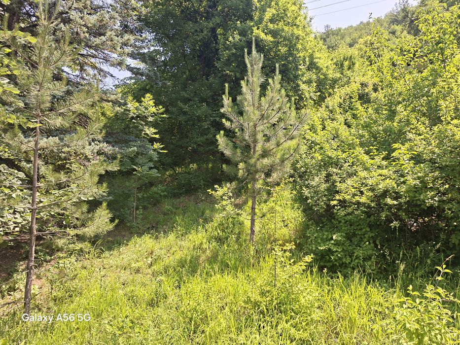 Продава се Къща в с. Гара Лакатник, Област София-област - 30 кв.м за 834 €/кв.м - Снимка #20