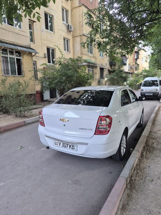 Cobalt 2024 style 27300 km propan 65