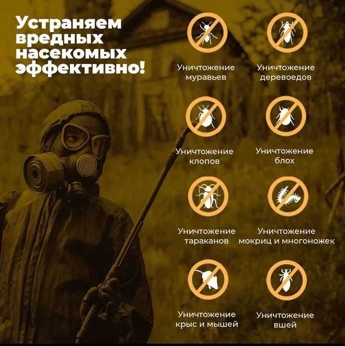 Дезинфекция насекомых клоп klop klapa Dezinfeksiya dezenfeksiya запах