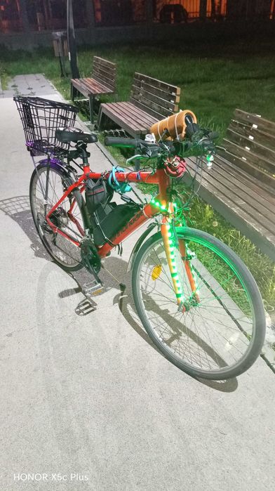 Bicicleta electrica
