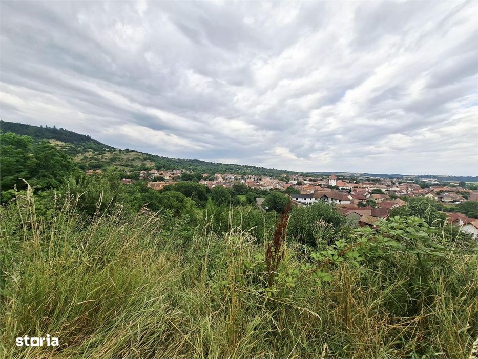 Teren intravilan de vanzare Saliste