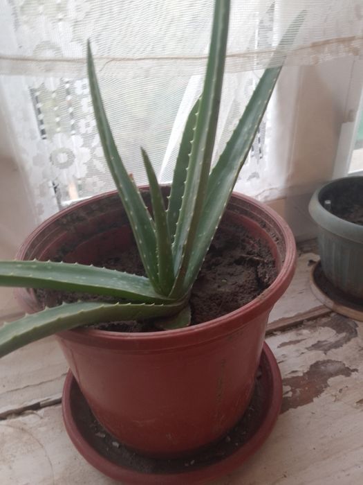 Хороших састаяний