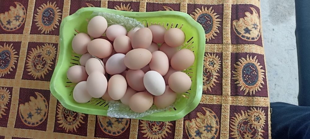 Яйца Домашние куринные