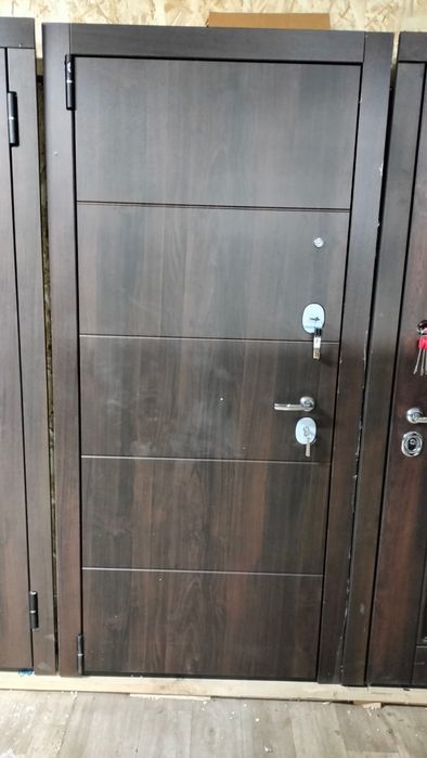 Двери входные с зеркалом